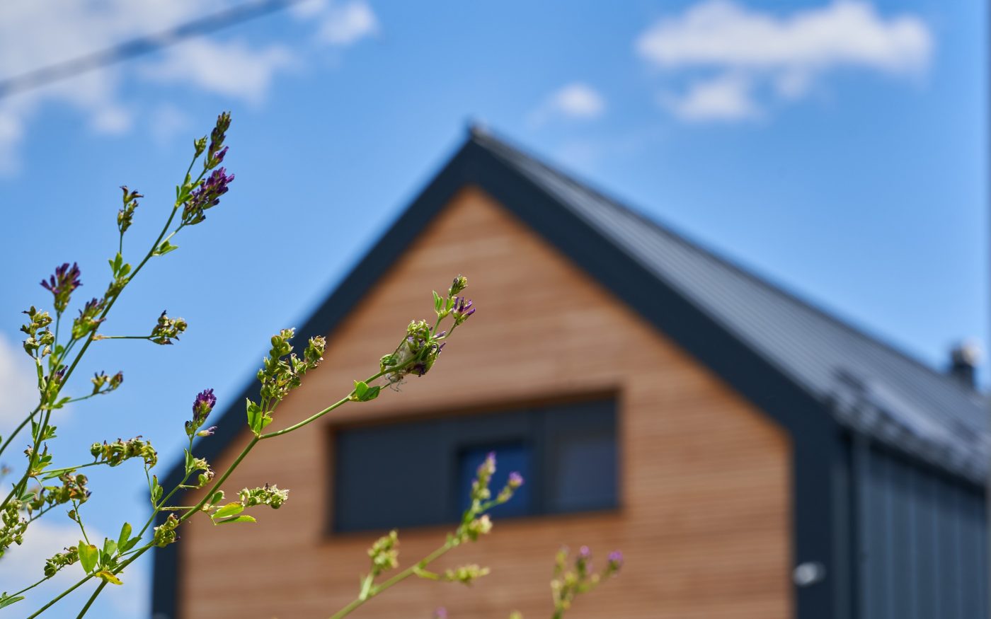 Obiteljska kuća zidana s IZO Profi 25 opekom