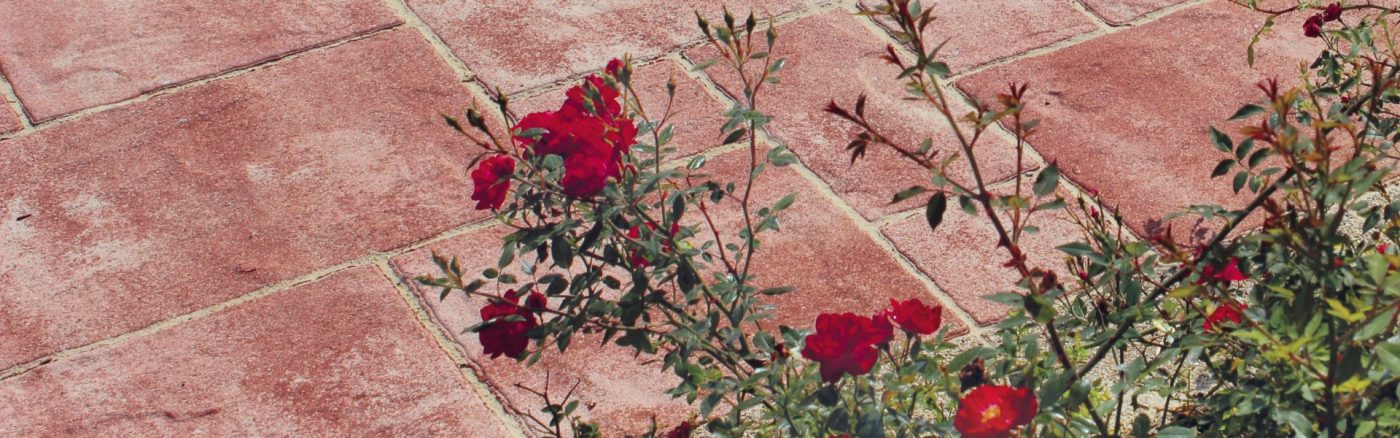 Semmelrock inspiration / header