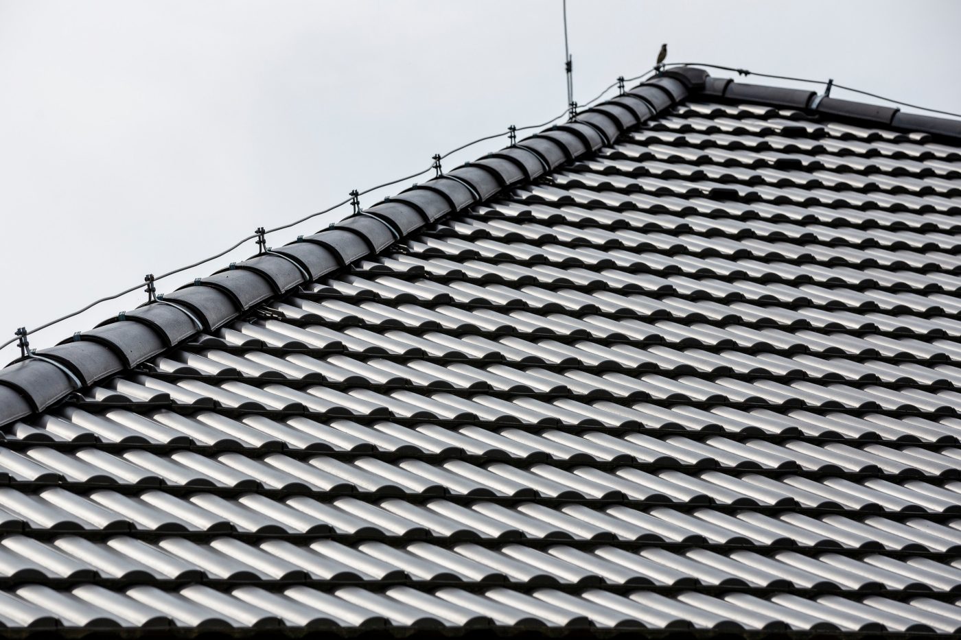 Reference photo of single house in Trencianske Mitice 08