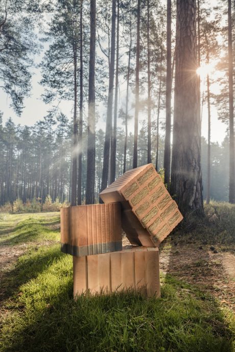 Product shot of the Energy from nature Energy+ Brick Porotherm T Profi and TS Profi