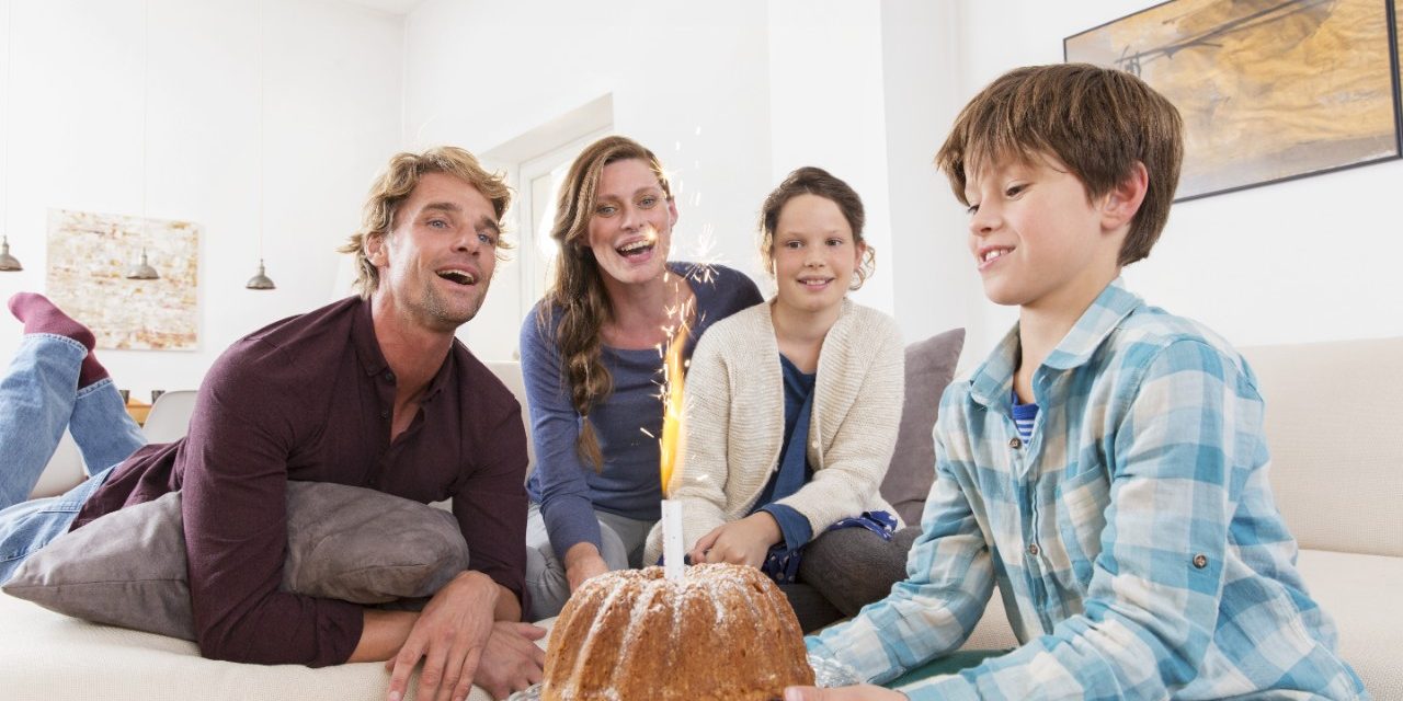 IZO Profi opeka punjena kamenom vunom za obiteljske kuće