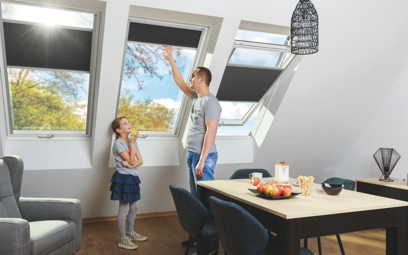 Tondach krovni prozori u dnevnom boravku